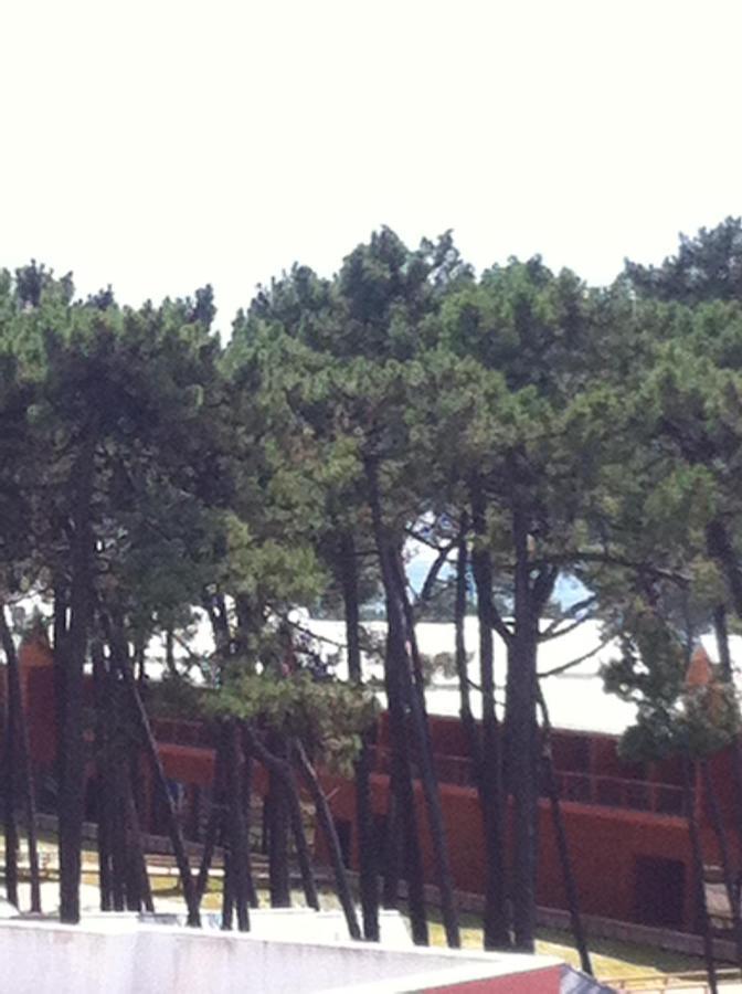 Beach House Cabedelo Viana do Castelo Exterior photo